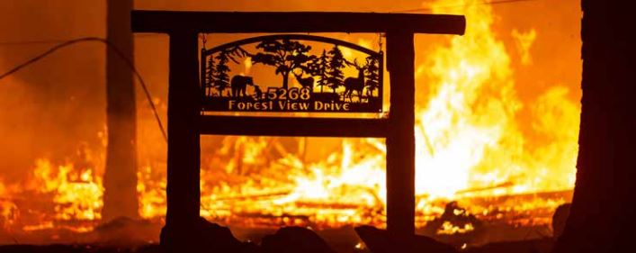 Why Are Wildfires in California Getting Bigger Over Time?