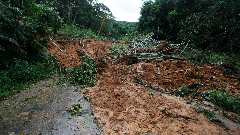 How Can Wildfires Lead to Mudslides?