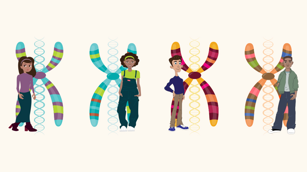 How Can Genetic Variation Lead to a Milk Allergy?