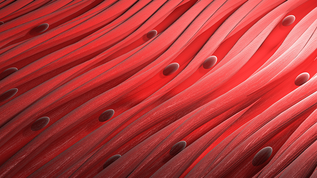 How do cells know which amino acids go together to make certain proteins? (Playlist Version)