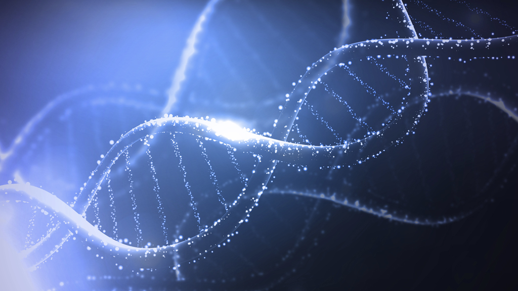 Where did these different alleles come from?