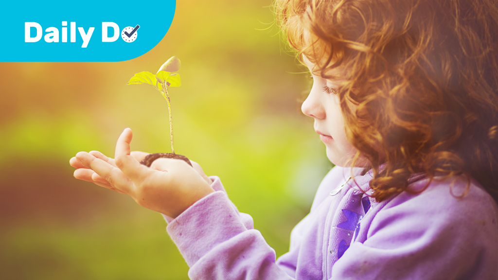 Where Did the Plant Come From?