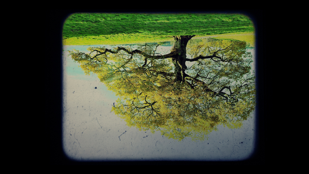 Why Is The Image Upside Down? NSTA