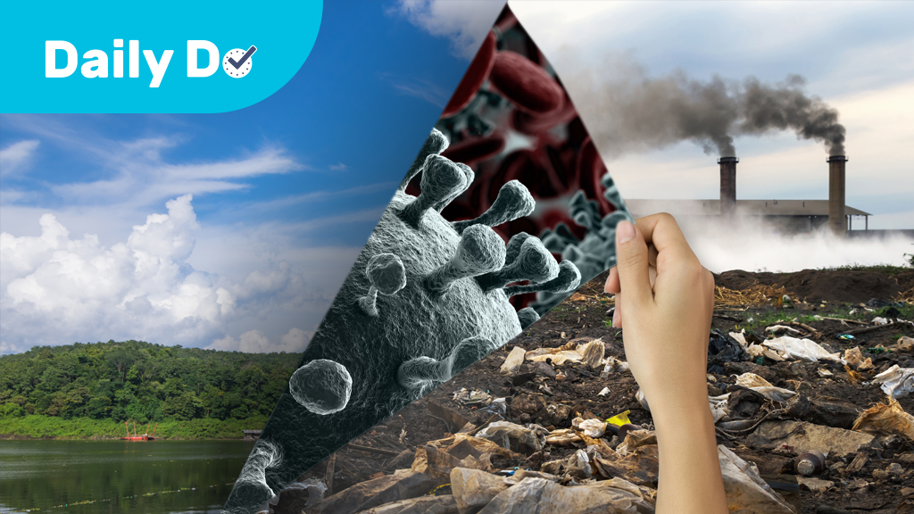 How Does a Pandemic Cause Less CO2?