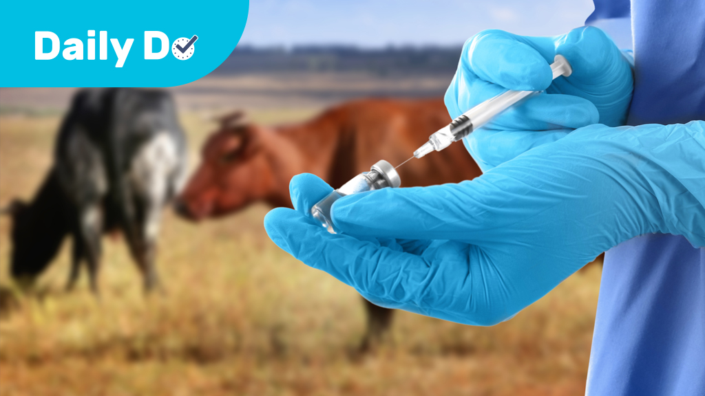 How Can Vaccinating One Population Affect Another?