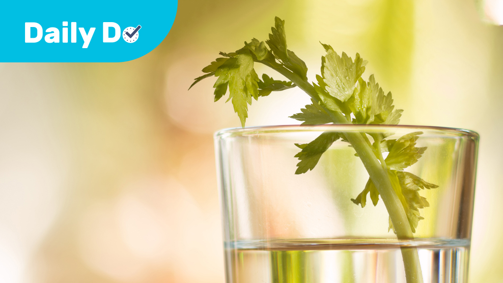 What Happened to Our Celery?