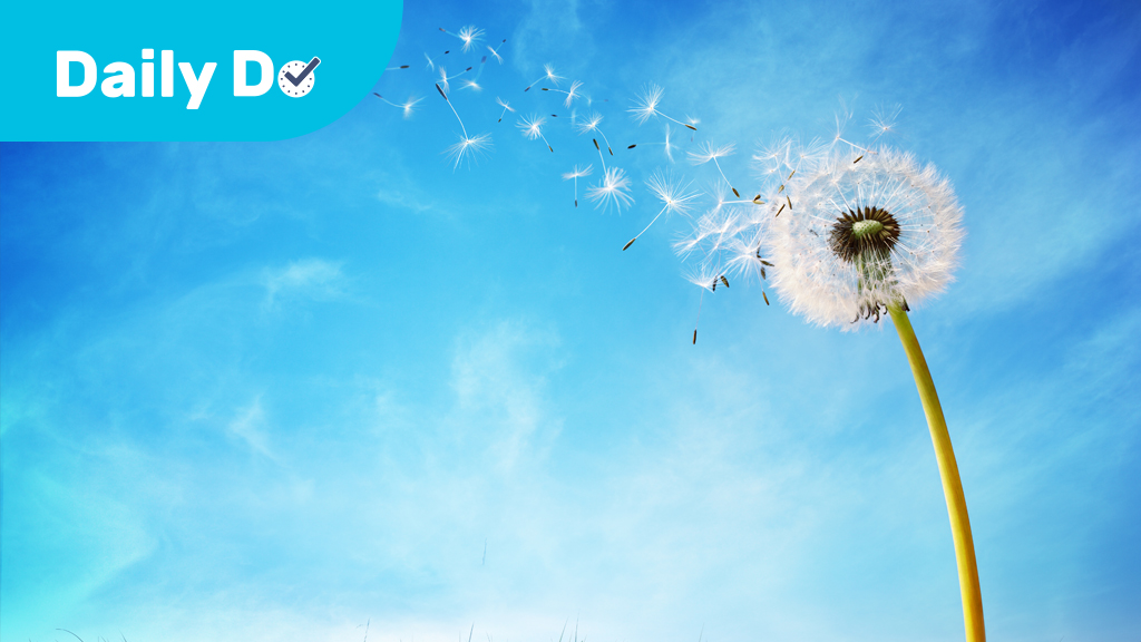 How Do Seeds Get Around?