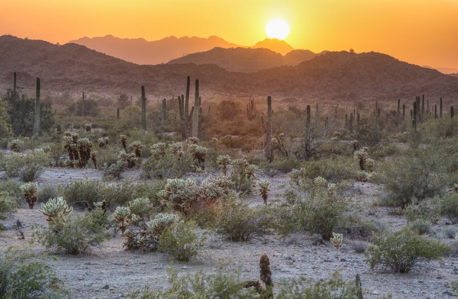 Why are Valley fever case numbers increasing over time?