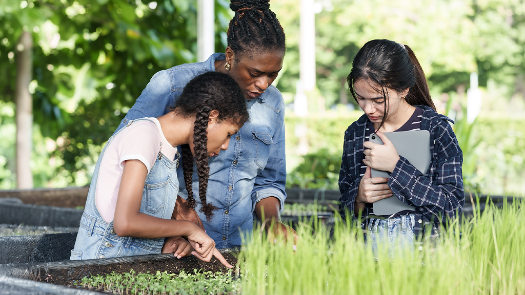 Building STREAM Ecosystems in Rural Communities: Connecting Agriculture, History, and Real-World Learning