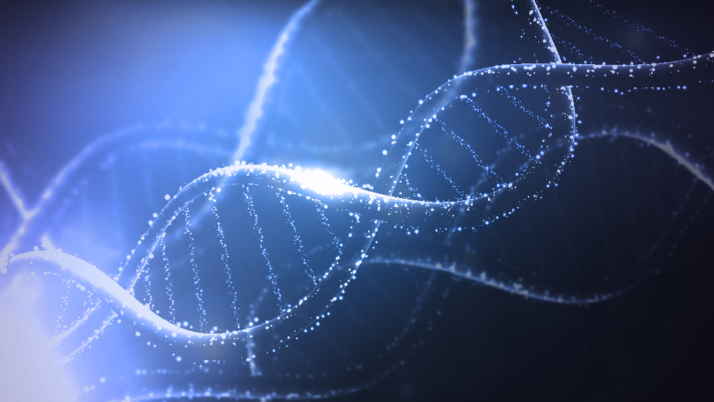 Where did the different alleles come from?
