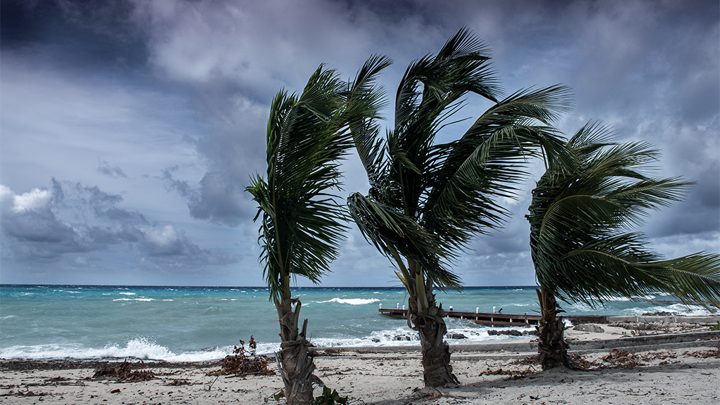 What caused Hurricane Ida to rapidly intensify?