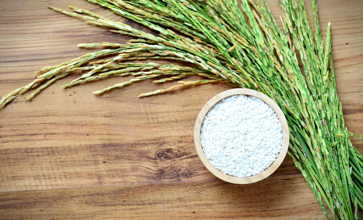 Rice Is Rice, Right?