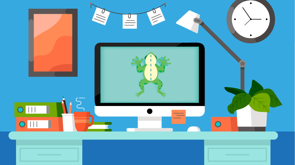 Safer Laboratory Dissection Activities