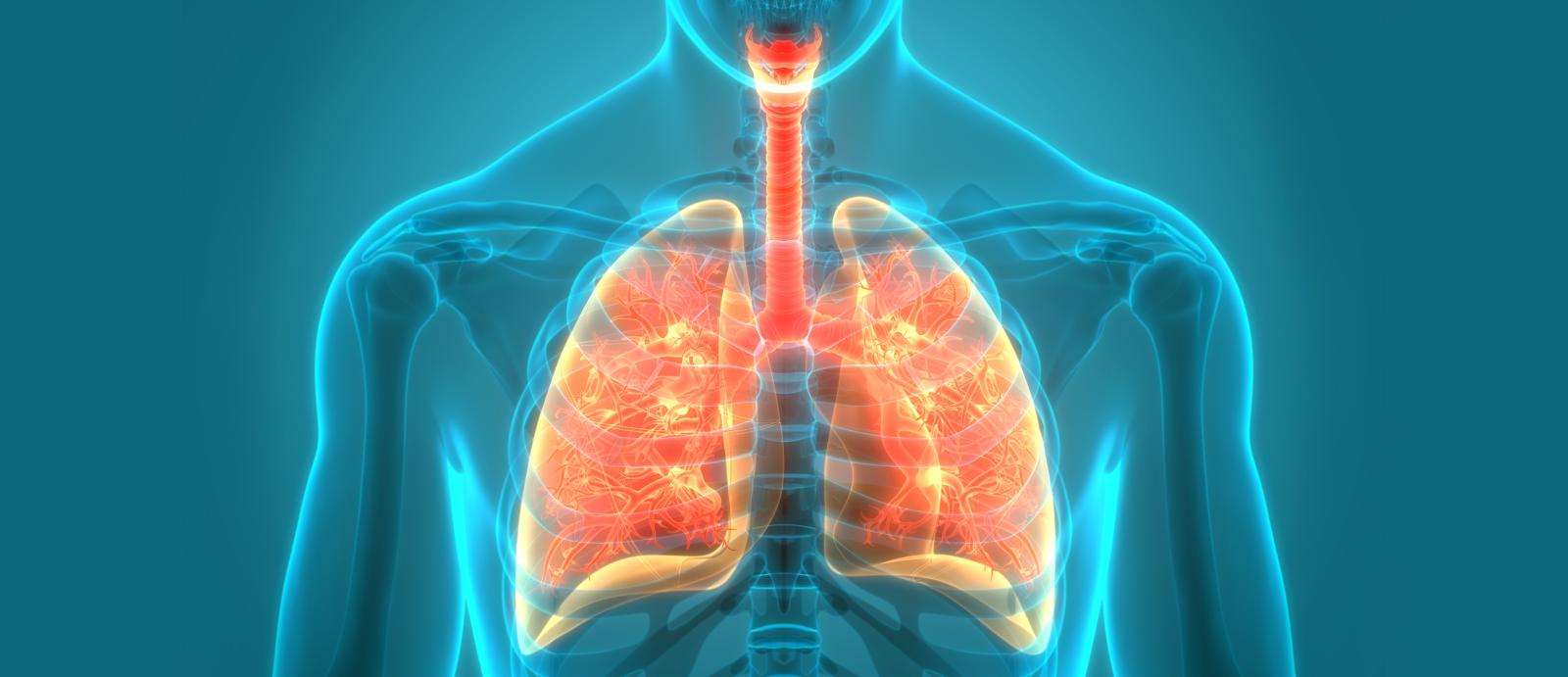 How can we investigate the relationship between PM2.5 exposure and respiratory diseases?