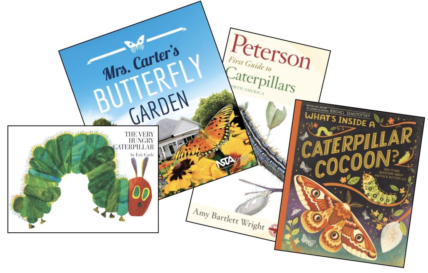 The Very Hungry Caterpillar, Butterflies, and More About Moths!