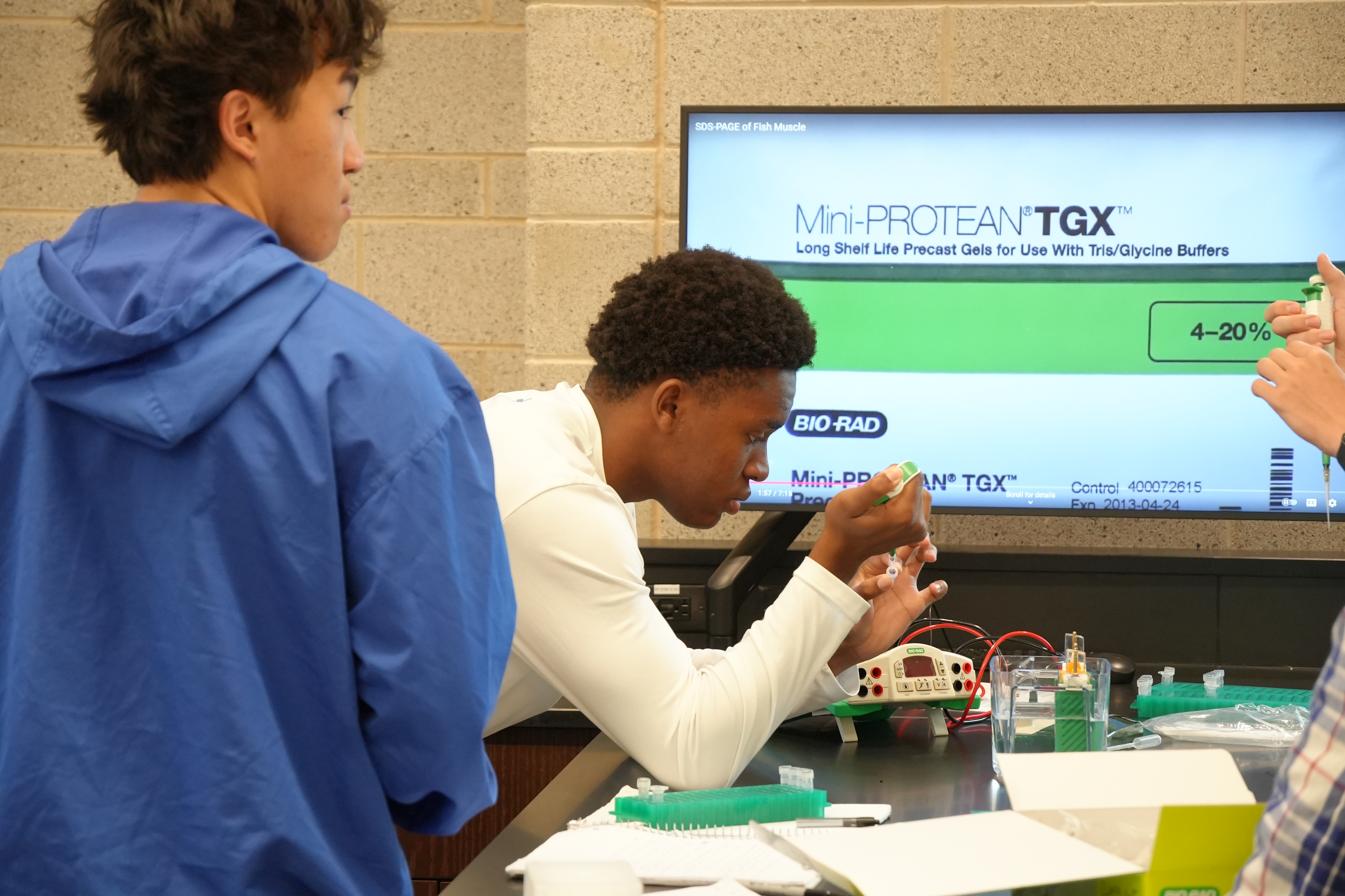 Students analyze banding patterns from SDS-PAGE gels to compare protein profiles across five fish species—applying college-level techniques to explore evolutionary relationships in real time.
