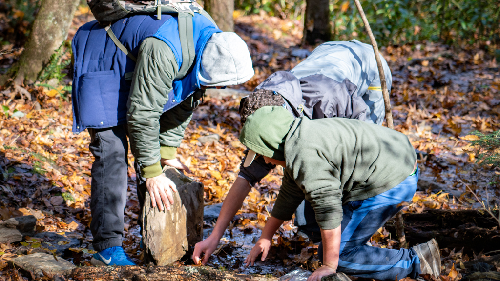 Students exploring the woods