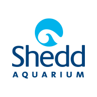 Shedd logo