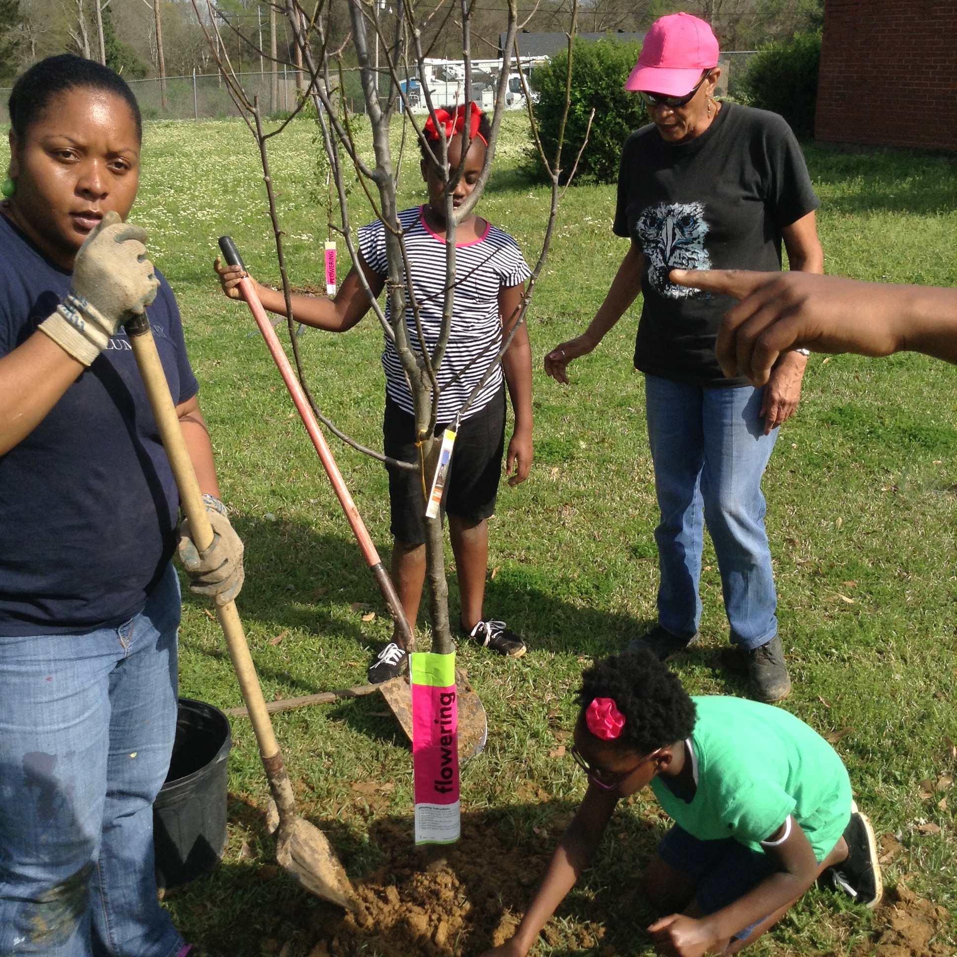 planting trees