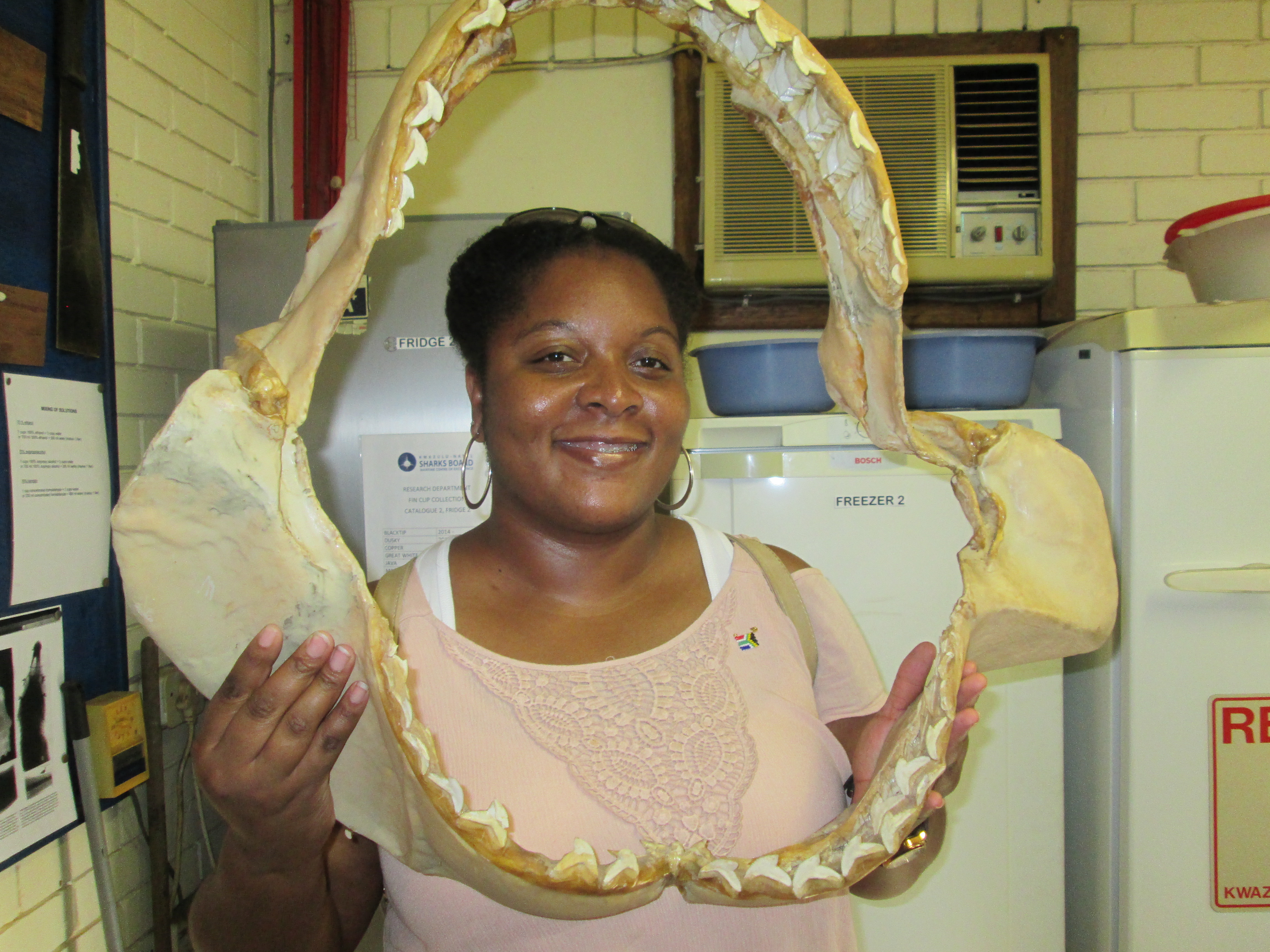 Veronica Wylie with shark jaws