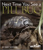 Next Time You See a Pill Bug