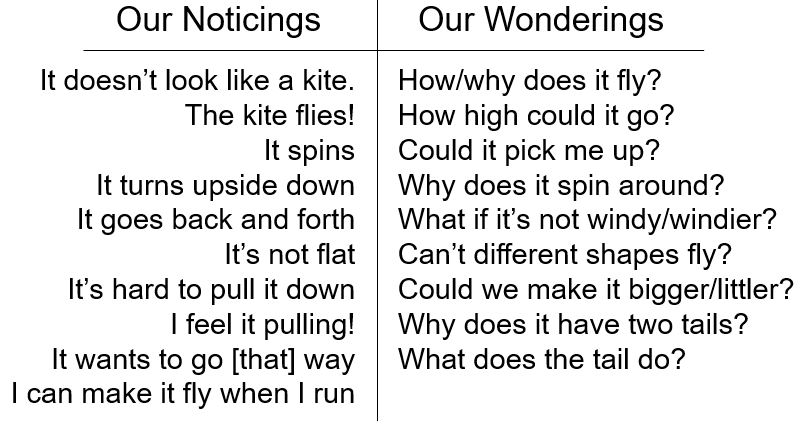 Example notices and wonderings