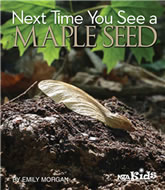 Next Time You See a Maple Seed