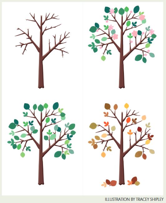 Four seasons shown by a tree