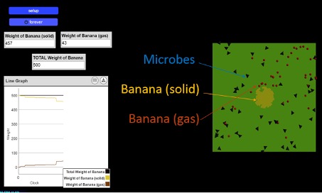 Student computer model of decomposing banana