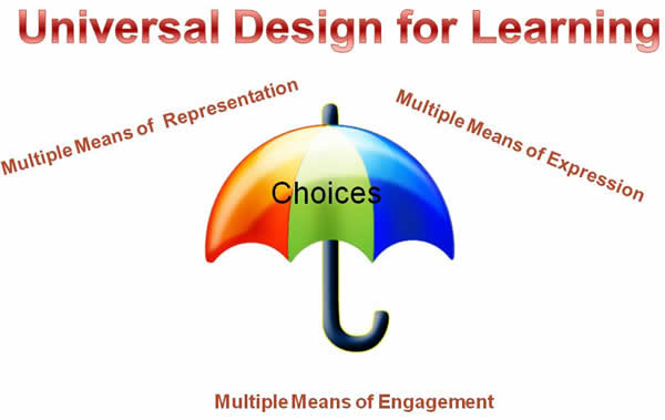 Universal Design for Learning