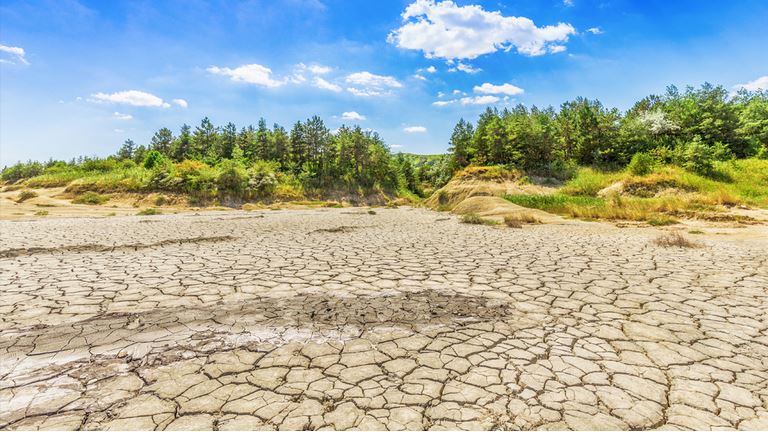 Desert with mud cracks