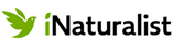 iNaturalist logo