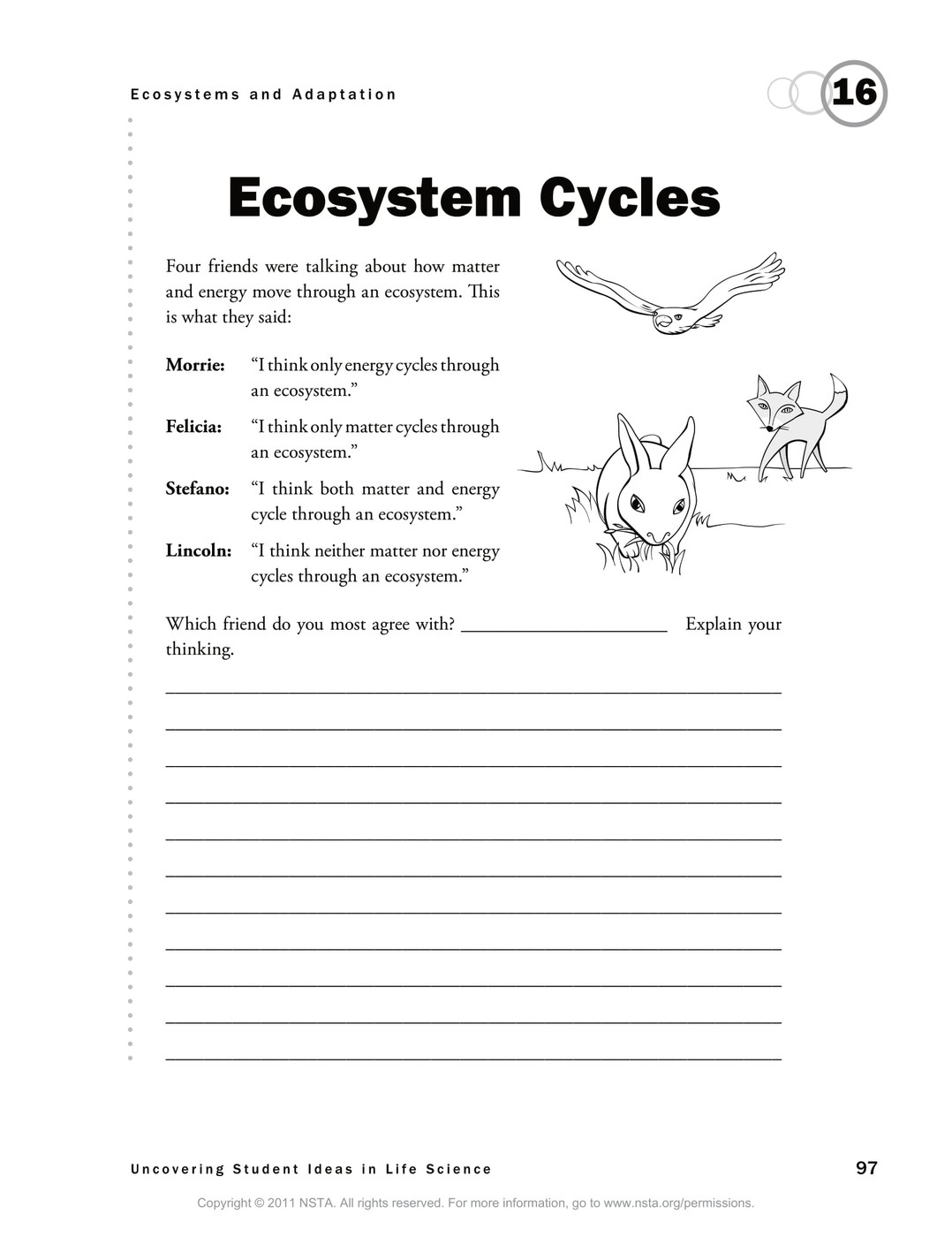 Ecosystem Cycles