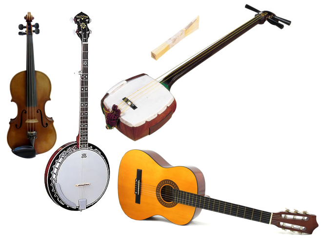 variety of stringed instruments