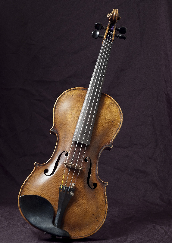 violin