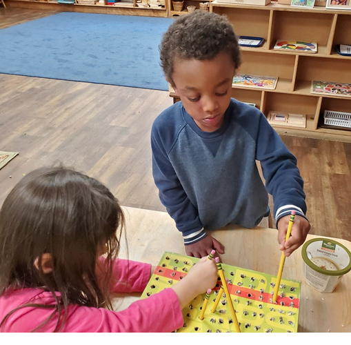 Students work with pencils in “echolocation” box to sense where objects are located within the box.