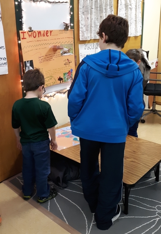 As a culmination of the Wonder Project, the students set up their posters in the classrooms one afternoon so we could invite younger and older 