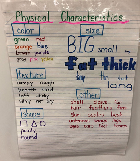 Classroom anchor chart.