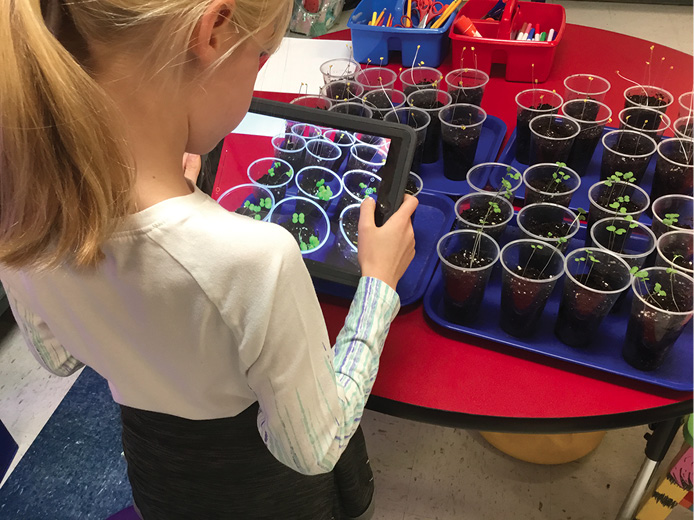 A student photographs plants grown in light and dark.