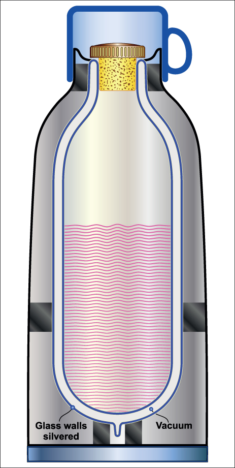 vacuum bottle
