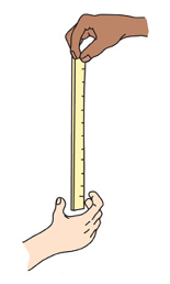 Reaction Time Ruler Set, for Measuring Acceleration of Falling Object