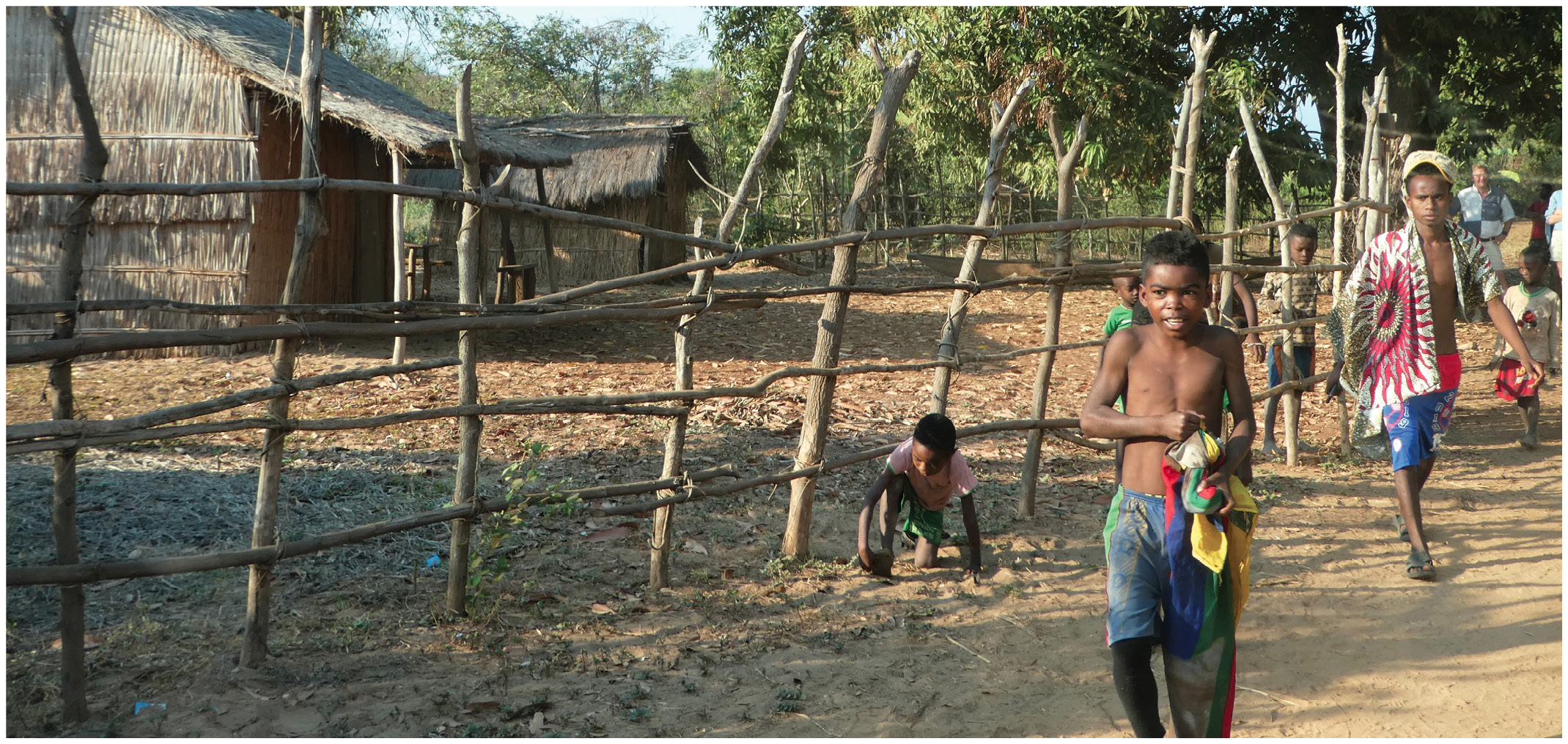 Much of the forested area of Madagascar is gone. Locals clear the land for farming, and use the trees to build their homes and fuel their cooking fires.