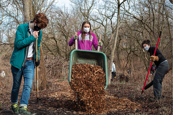 Working on the urban woodland next to our school.