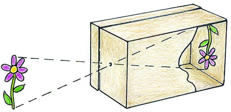 Figure 3. Rays of light through the pinhole cast a clear image. 