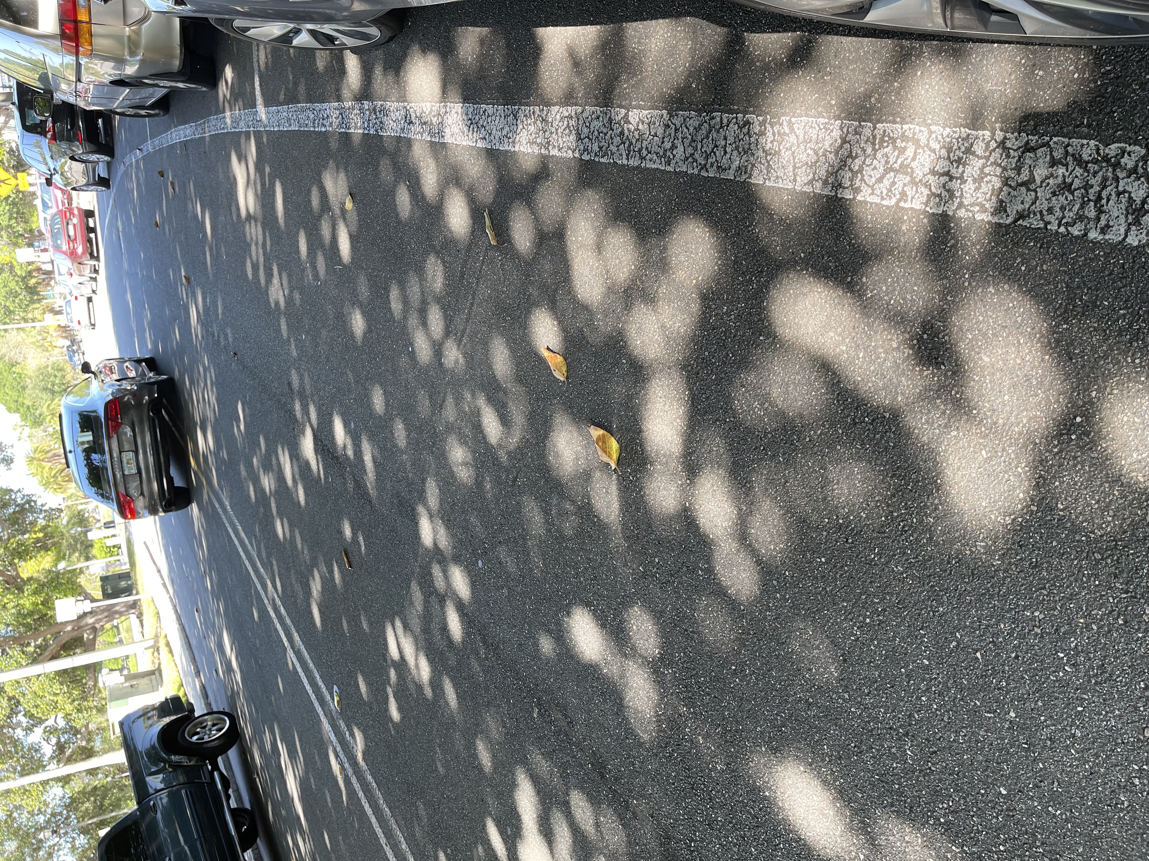 Figure 1. Sunballs on the pavement