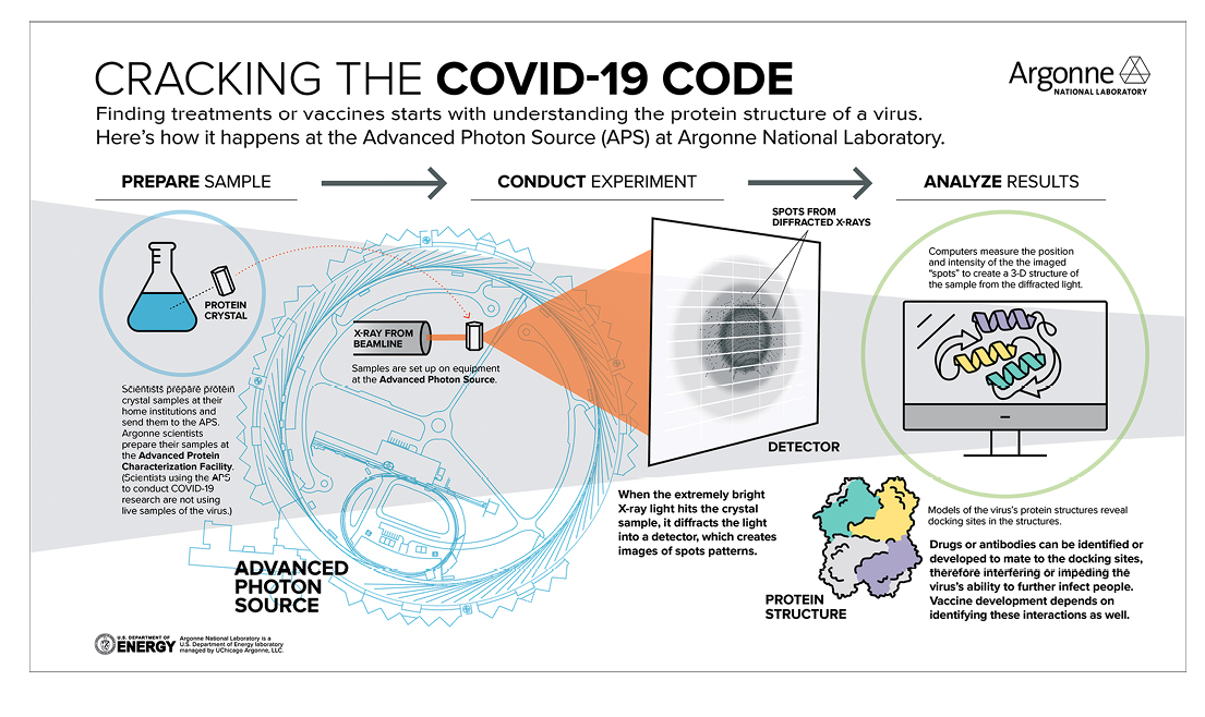 cracking the covid code infographic