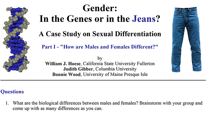 Difference Between Jeans and Pants