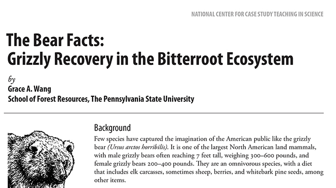 The Bear Facts | NSTA