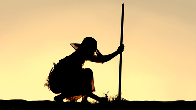 NSTA Case Study: Organic vs. Conventional Farming Methods