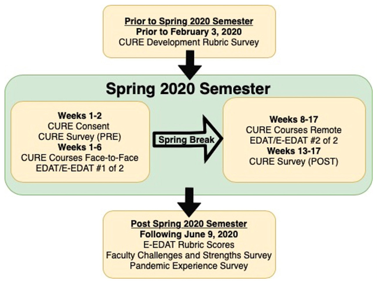 Figure 1 Spring 2020 CURE implementation and data collection timeline.